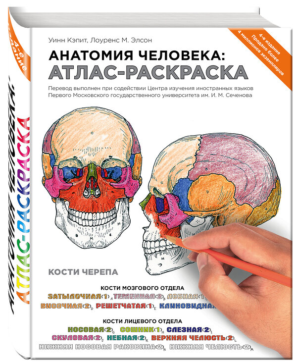 Эксмо Лоуренс М. Элсон, Уинн Кэпит "Анатомия человека: атлас-раскраска" 339490 978-5-699-71506-0 