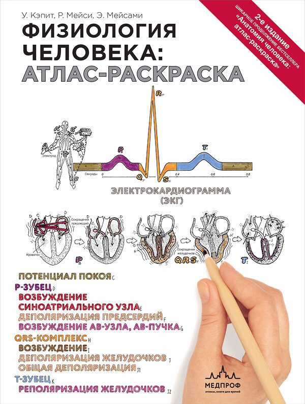 Эксмо Уинн Кэпит, Роберт Мейси, Эсмаил Мейсами "Физиология человека: атлас-раскраска" 340755 978-5-699-90764-9 