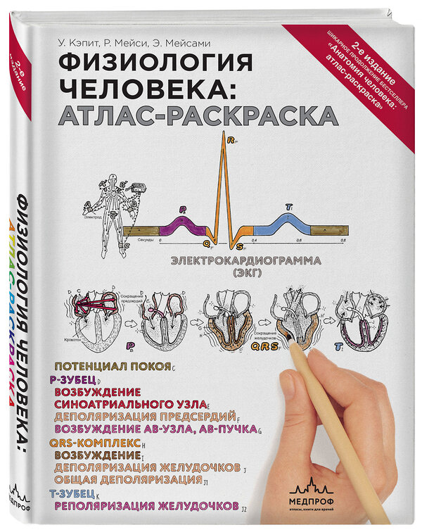 Эксмо Уинн Кэпит, Роберт Мейси, Эсмаил Мейсами "Физиология человека: атлас-раскраска" 340755 978-5-699-90764-9 