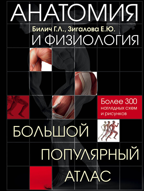 Эксмо Билич Г.Л., Зигалова Е.Ю. "Анатомия и физиология. Большой популярный атлас" 340950 978-5-699-93523-9 