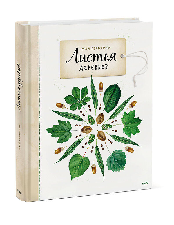Эксмо Анна Васильева "Мой гербарий. Листья деревьев" 342397 978-5-00169-756-5