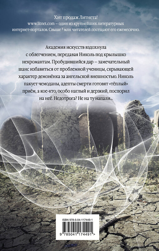Эксмо Кристина Корр "Недотрога в академии некромантов" 349779 978-5-04-117449-1