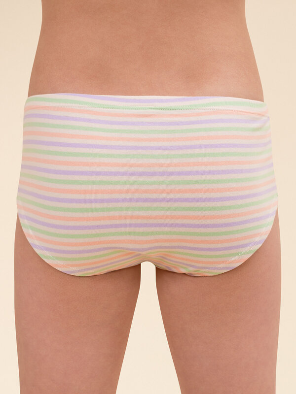 PELICAN Трусы 382849 GUHB3354/1(2) Лаванда/персиковый