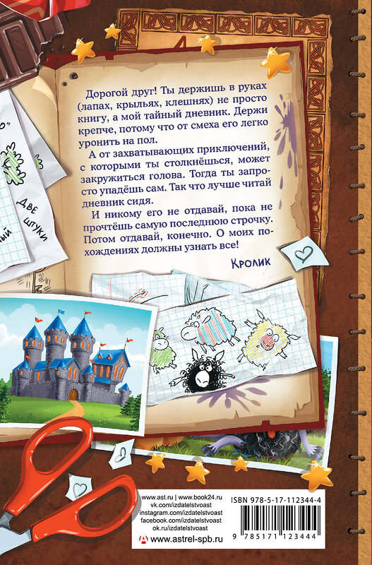 АСТ Катя Матюшкина, Катя Оковитая "Книга Кролика про Кролика с рисунками и стихами Кролика. Фея-колтунья и волшебный портал" 384343 978-5-17-112344-4