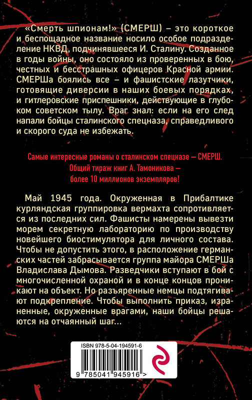 Эксмо Александр Тамоников "Зловещий лабиринт" 400407 978-5-04-194591-6 