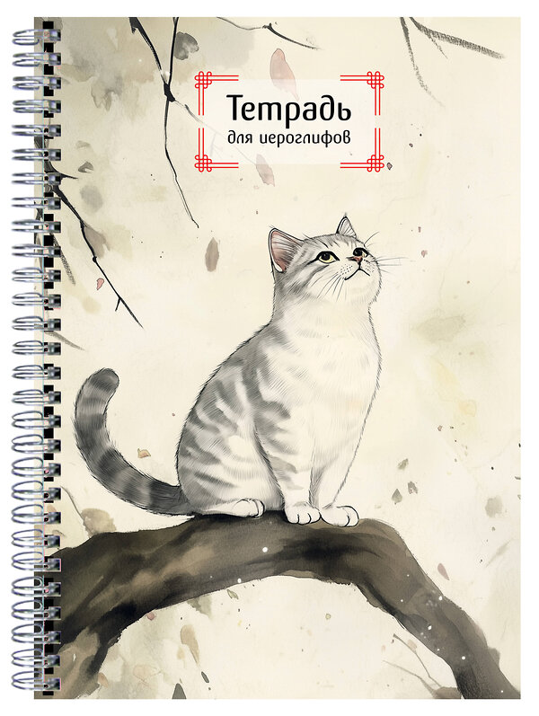 Эксмо "Тетрадь для иероглифов на пружине (Игривый котик)" 527200 978-5-04-216767-6