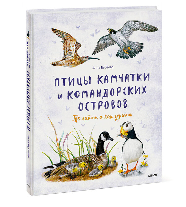 Эксмо Анна Евсеева "Птицы Камчатки" 535711 978-5-00250-045-1