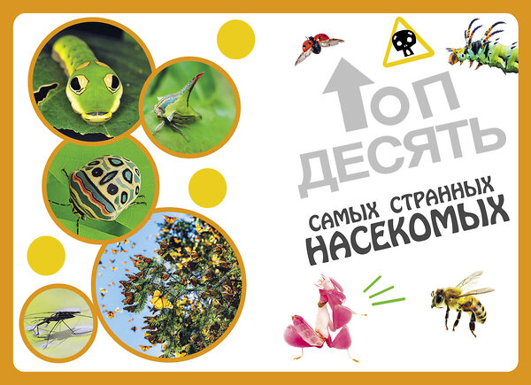 Эксмо Кристина Банфи "Самые необычные животные и места мира" 539302 978-5-04-206976-5