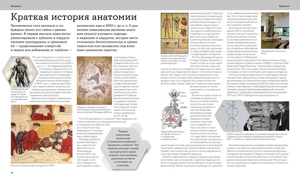Эксмо Шарат Вайттаден, Дана Густафсон "Анатомия человека. Визуальный гид по всем системам организма: норма и патологии" 539415 978-5-00214-853-0