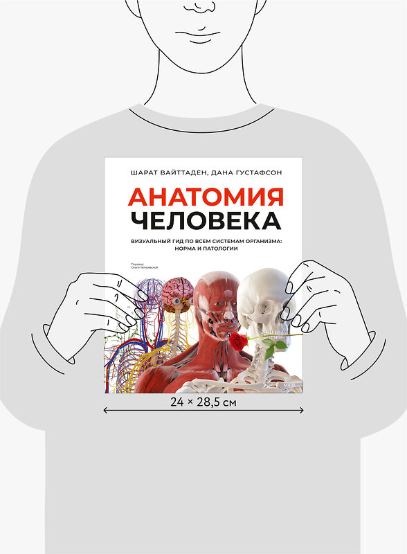 Эксмо Шарат Вайттаден, Дана Густафсон "Анатомия человека. Визуальный гид по всем системам организма: норма и патологии" 539415 978-5-00214-853-0
