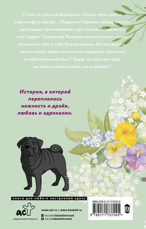 АСТ Женя Онегина "Любовь в Сочи, мопс и белые ночи" 540006 978-5-17-173724-5