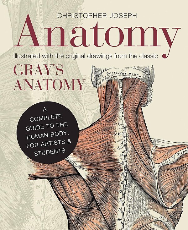 Эксмо Christopher Joseph "Anatomy (Christopher Joseph) Анатомиия (Кристофер Джозеф) /Книги на английском языке" 541564 978-1-78-240127-8