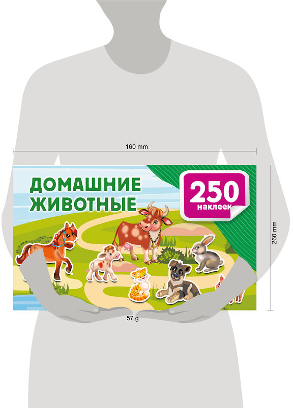 АСТ Дмитриева В.Г. "Домашние животные" 542903 978-5-17-174915-6
