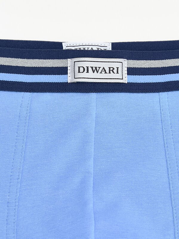 DiWaRi Трусы 543778 BASIC MSH 700 (пакет) light blue