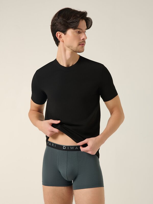 DiWaRi Фуфайка 543785 BASIC MEN MF 4024 (бандероль) black