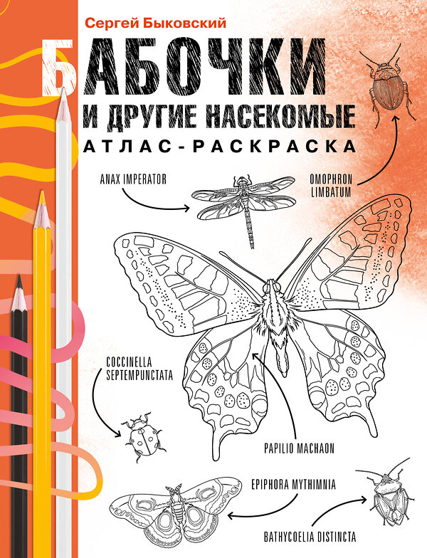 АСТ Сергей Быковский "Бабочки и другие насекомые. Атлас-раскраска" 545196 978-5-17-159941-6