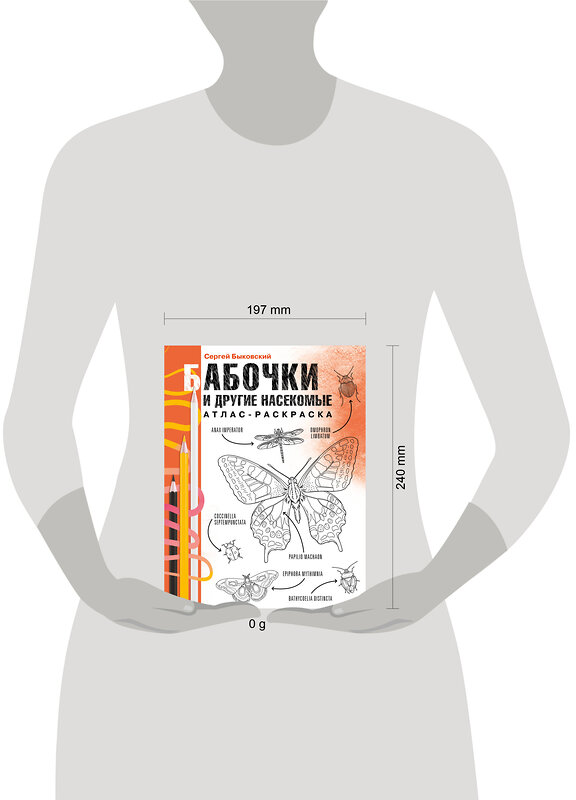 АСТ Сергей Быковский "Бабочки и другие насекомые. Атлас-раскраска" 545196 978-5-17-159941-6