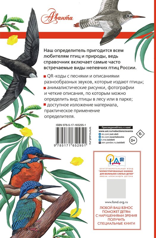 АСТ Коблик Е.А., Архипов В.Ю. "Непевчие птицы. Средняя полоса европейской части России. Определитель с голосами птиц" 545211 978-5-17-165295-1