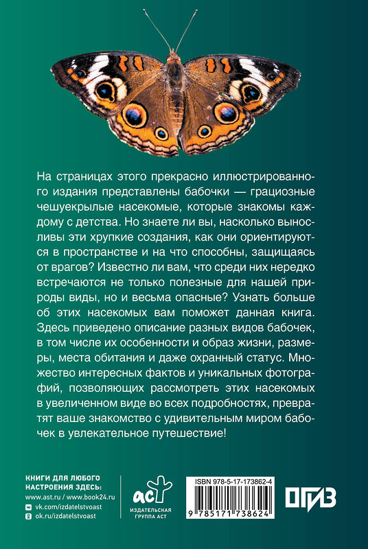 АСТ Анна Спектор "Бабочки. Иллюстрированный гид" 547304 978-5-17-173862-4
