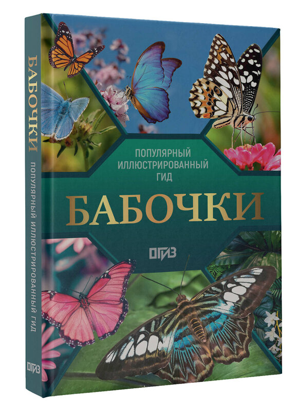 АСТ Анна Спектор "Бабочки. Иллюстрированный гид" 547304 978-5-17-173862-4
