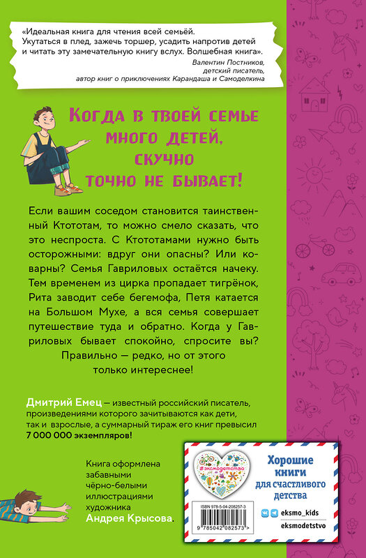 Эксмо Дмитрий Емец "Таинственный Ктототам (#3) (ил. А. Крысова)" 549337 978-5-04-208257-3