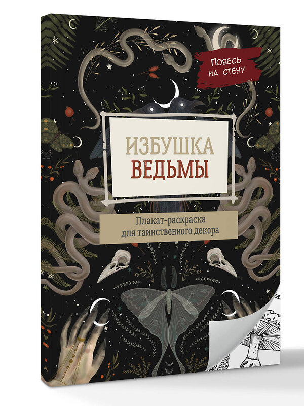 АСТ . "Избушка ведьмы" 549652 978-5-17-169655-9