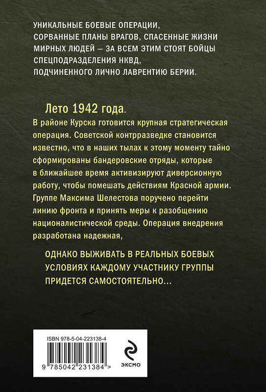 Эксмо Александр Тамоников "Боевые асы наркома" 554968 978-5-04-223138-4