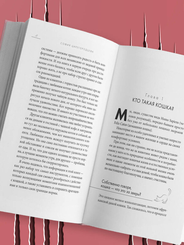 Эксмо София Царегородцева "Кошачий закон и порядок. Как найти общий язык с кошкой и не стать жертвой ее капризов" 558664 978-5-04-206867-6
