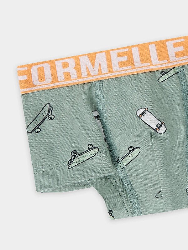 MARK FORMELLE Трусы 559082 413354 скейты на зеленом