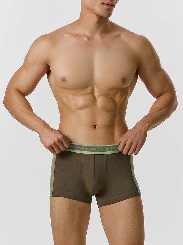 MARK FORMELLE Трусы 559213 411224-3 табак +зеленый чай +алюминий