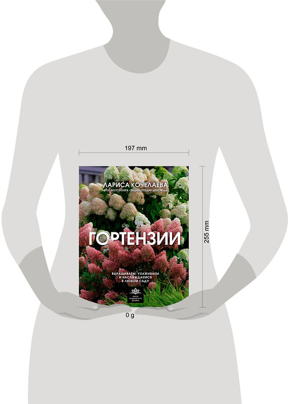 АСТ Лариса Кочелаева "Гортензии. Выращиваем, ухаживаем и наслаждаемся в любом саду" 562654 978-5-17-163455-1