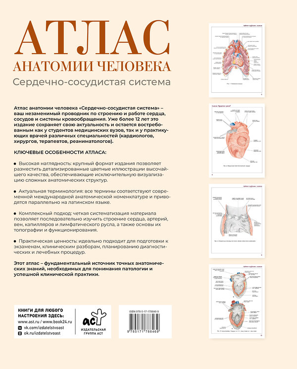 АСТ Лёвкин С.С. "Атлас анатомии человека. Сердечно-сосудистая система" 562864 978-5-17-178846-9