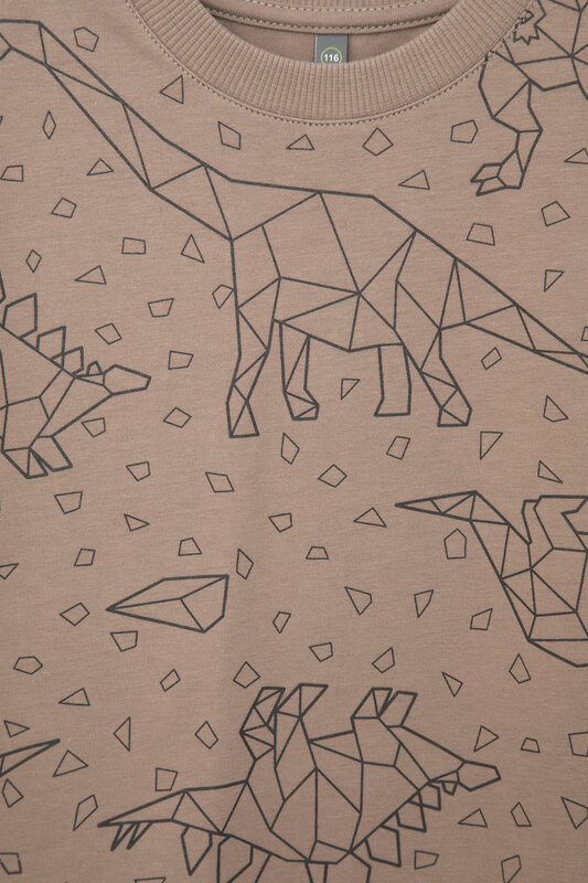 CROCKID Футболка 565363 КР 302160 коричневый