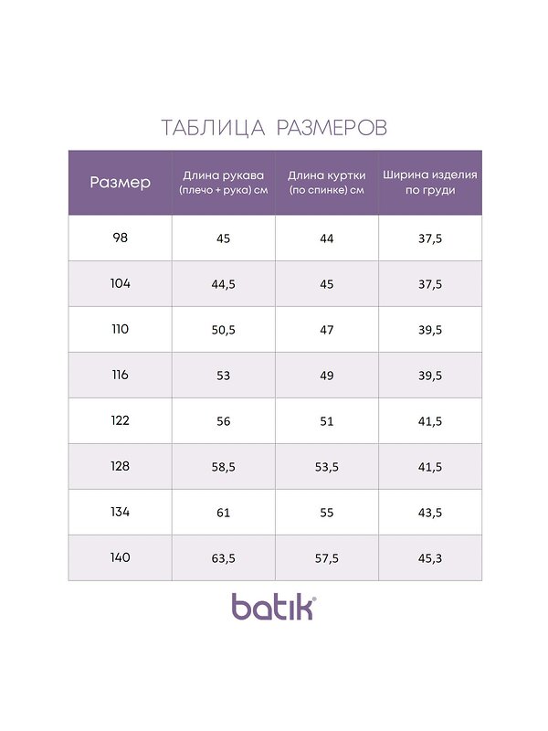 BATIK Толстовка 566328 485-24з-3 серый