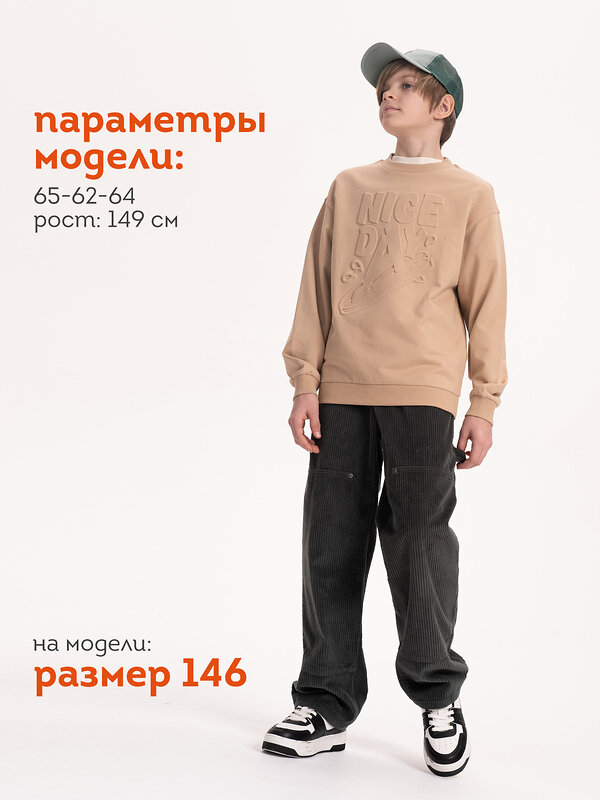 PELICAN Толстовка 566656 BFN3371/1 Песочный