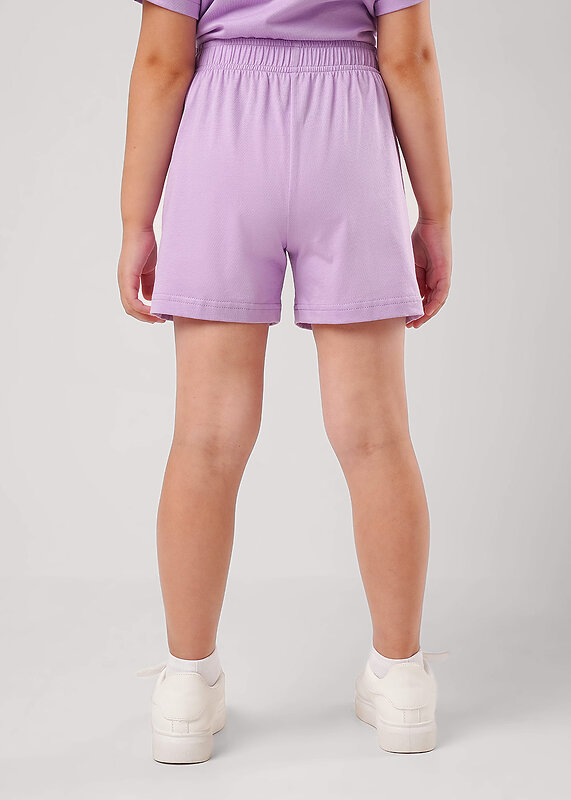 CLEVER Комплект 567600 759579кд_п2 св.фиолетовый