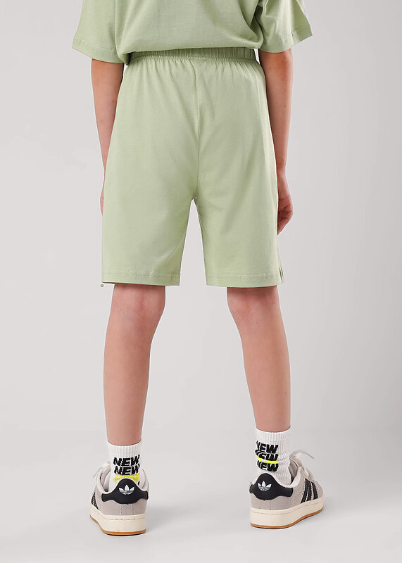 CLEVER Комплект 567603 759580кд_п1 зелёный