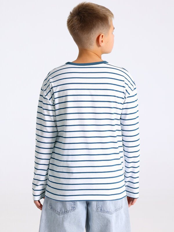 Апрель Лонгслив 568197 1ПДЛД4897001н полоска белый+синий+темно-голубой