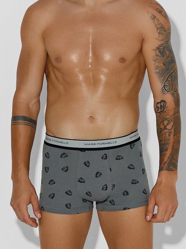 MARK FORMELLE Трусы 568234 411228 зубры на т.сером