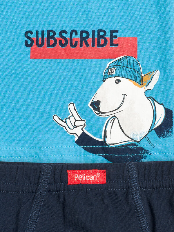 PELICAN Комплект 132352 BUAVL3194 Голубой