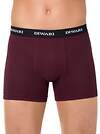 DiWaRi Трусы 192157 SHORTS MSH 147 (в коробке) Bordo