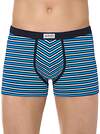 DiWaRi Трусы 197249 BAND SHORTS 810 (в коробке) blue