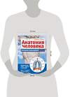 Эксмо Г. Л. Билич "Анатомия человека: большой популярный атлас" 339509 978-5-699-72585-4 