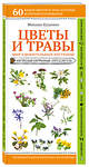 Эксмо Михаил Куценко "Цветы и травы. Мир удивительных растений" 346381 978-5-04-111887-7 