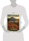 Эксмо Владимир Медведев "Путешествие к сердцу России. Альбом дикой природы от Белого моря до Камчатки" 361425 978-5-04-190053-3 