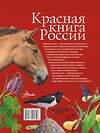 АСТ Пескова И.М., Дмитриева Т.Н., Смирнова С.В., Куксина Н.В., Зотова М.Г., Тимоханов В.А. и др. "Красная книга России" 364137 978-5-17-091649-8 