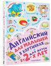 АСТ Гордиенко Н.И., Гордиенко С.А., Лемко Д.М., Чукавина И.А. "Английский для малышей в картинках" 367616 978-5-17-111400-8 