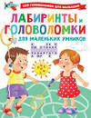 АСТ Дмитриева В.Г. "Лабиринты и головоломки для маленьких умников" 372844 978-5-17-134841-0 