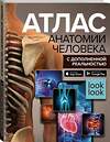 АСТ Спектор А.А. "Атлас анатомии человека с дополненной реальностью" 375964 978-5-17-146187-4 