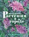 АСТ Пескова И.М. "Растения в городе" 379180 978-5-17-150624-7 